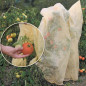 Mobile Preview: Bio Tomaten Reifevlies, Schlauchware "planto pro"